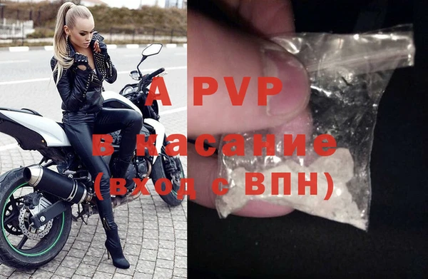 стафф Лабытнанги